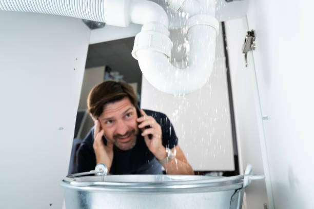 Best Leak Detection Services  in Santo Domingo Pueblo, NM